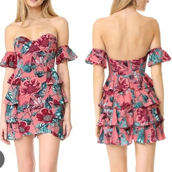 For Love & Lemons | Flamenco Strapless Floral Ruffle Mini Dress | Size L | NWT - Picture 6 of 10